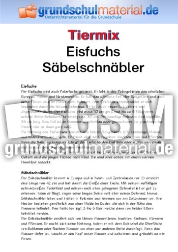 Eisfuchs - Säbelschnäbler.pdf